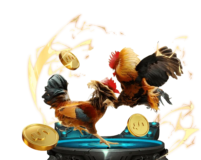 Đá Gà Trực tiếp Xwinner